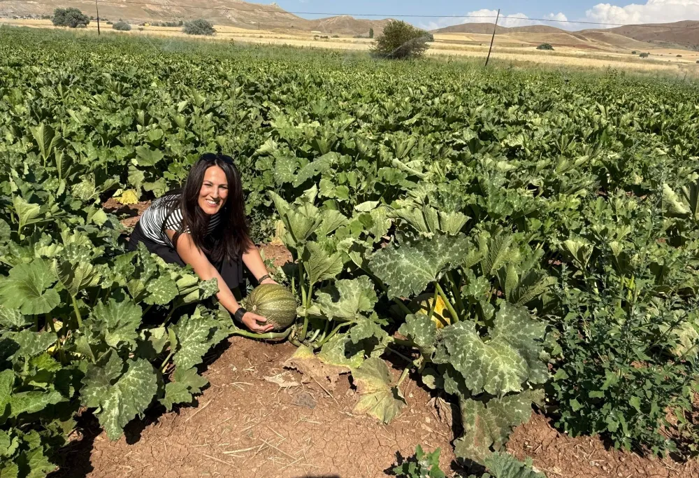 Tercan’da çerezlik kabak üretimi yaygınlaşıyor
