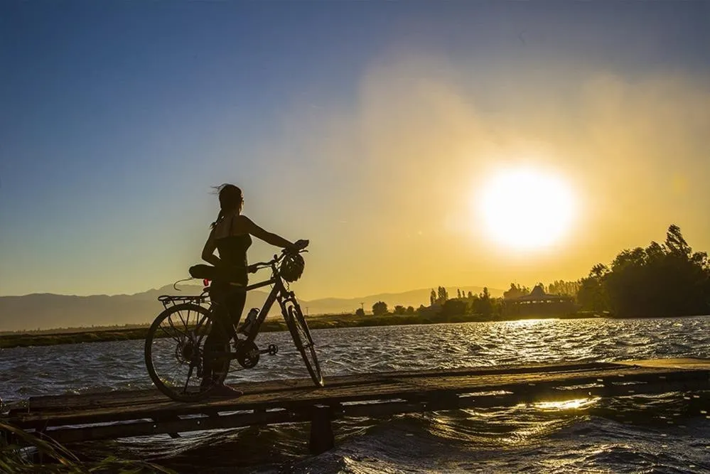 Kemaliye yanıyor, termometreler 42 dereceyi gösterdi