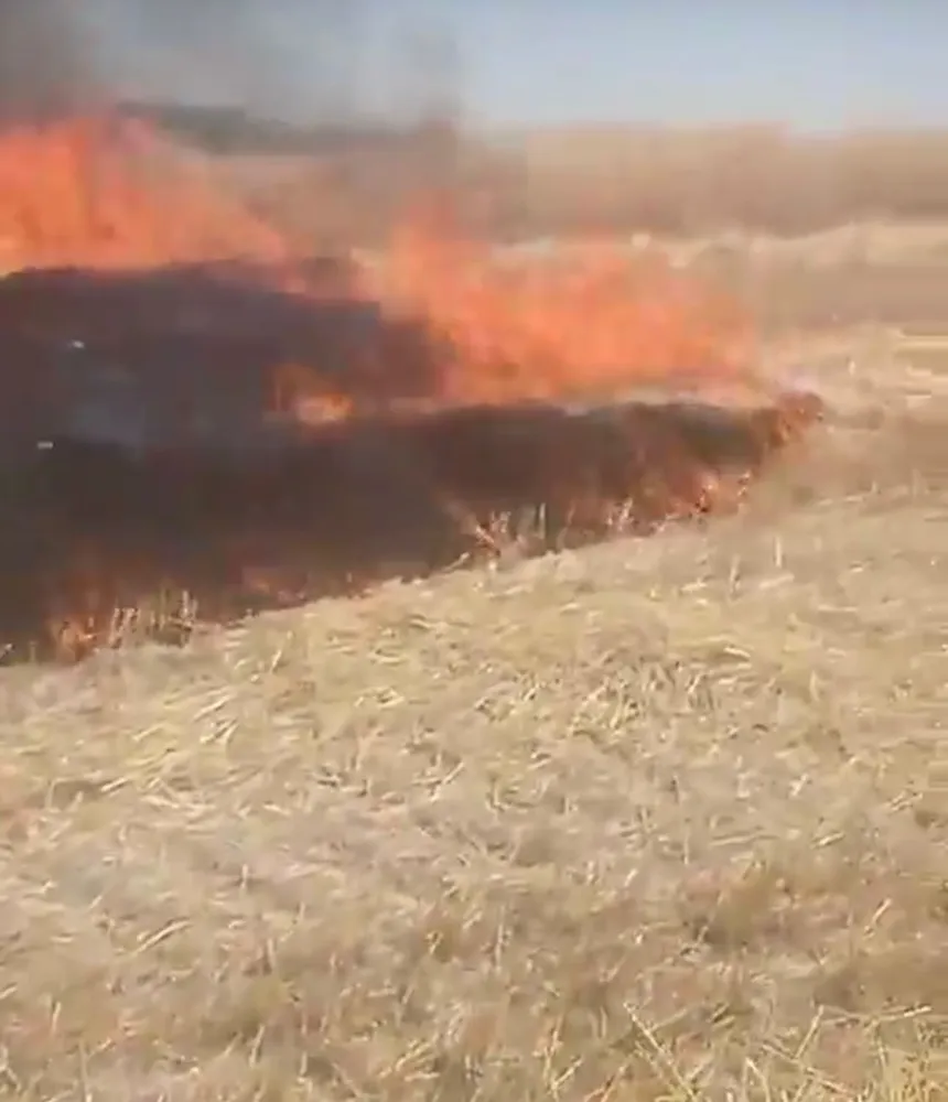 Ankara’da anız yangını