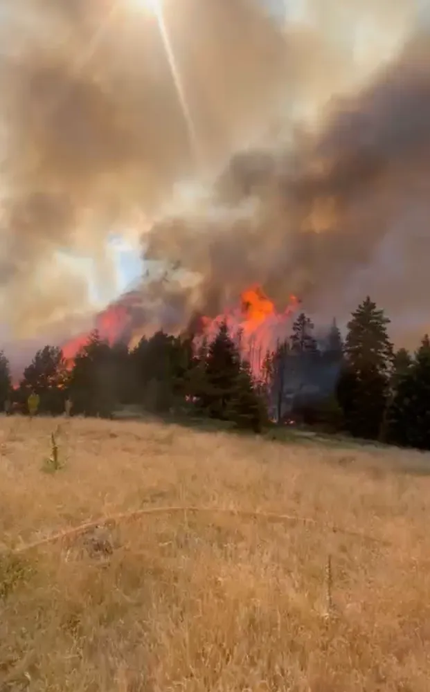 Çankırı’da orman yangını
