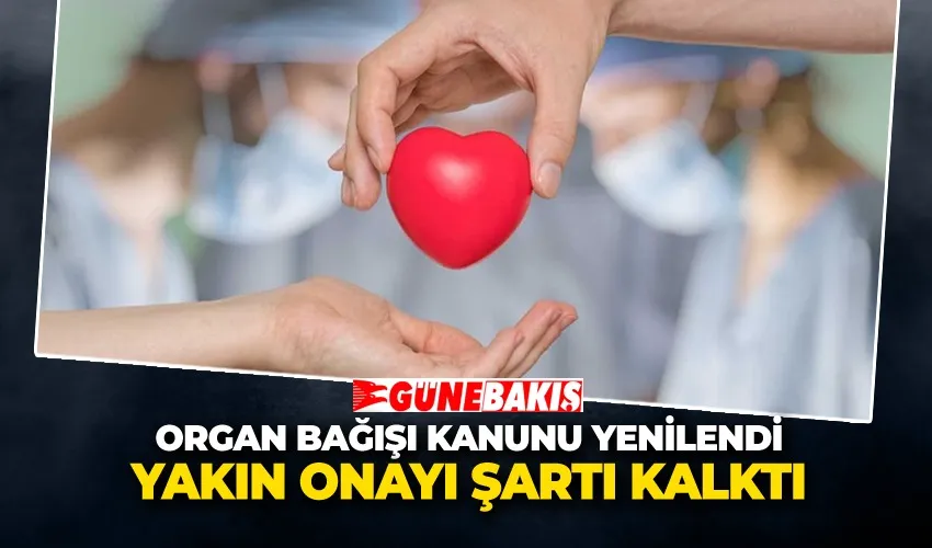 Organ Bağışı Kanunu Yenilendi Yakın Onayı Şartı Kalktı