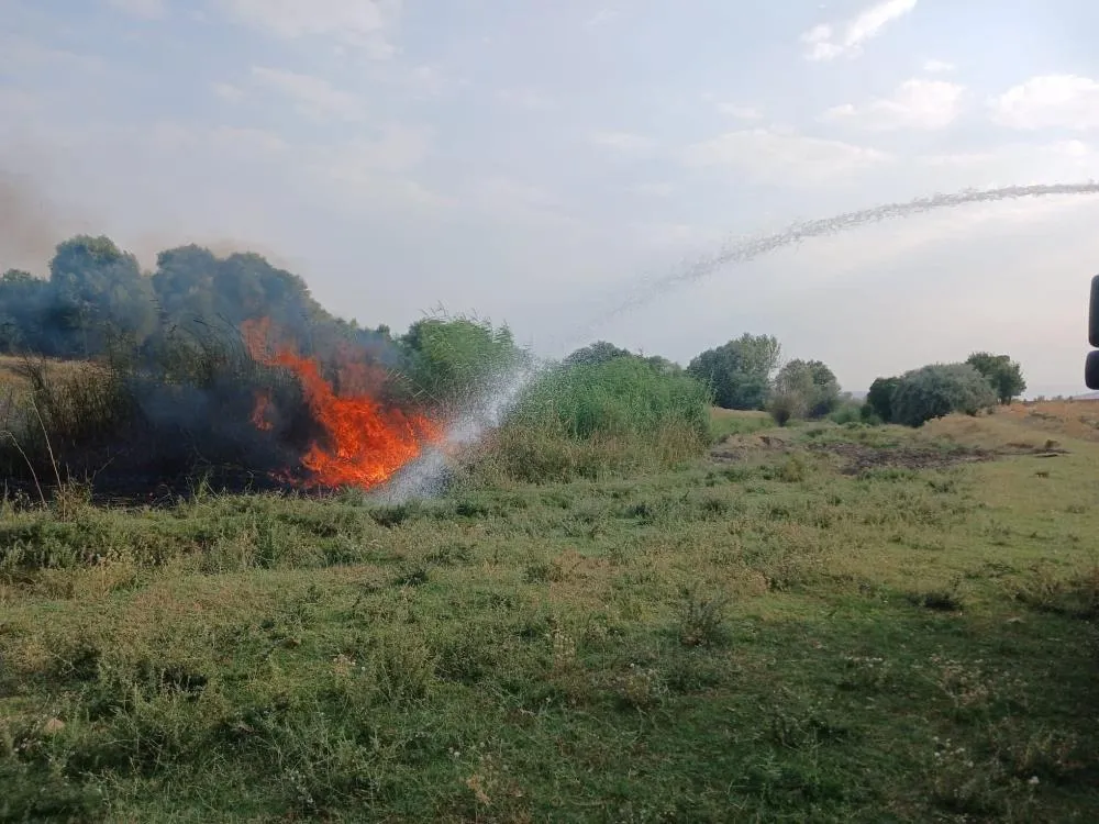 Elazığ’da ağaçlık alanda çıkan yangın ekipler tarafından söndürüldü