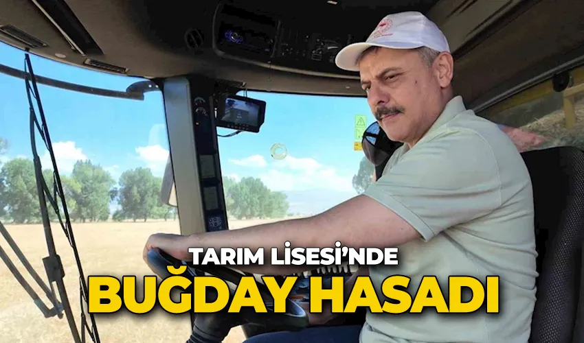 Tarım Lisesi’nde buğday hasadı
