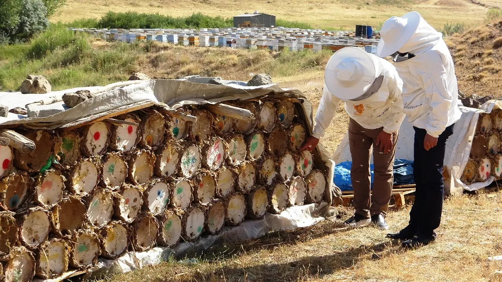 Küresel ısınma arıcıları tedirgin ediyor