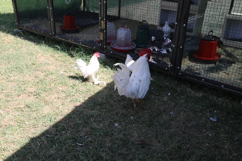 Engelsiz Yaşam Merkezi