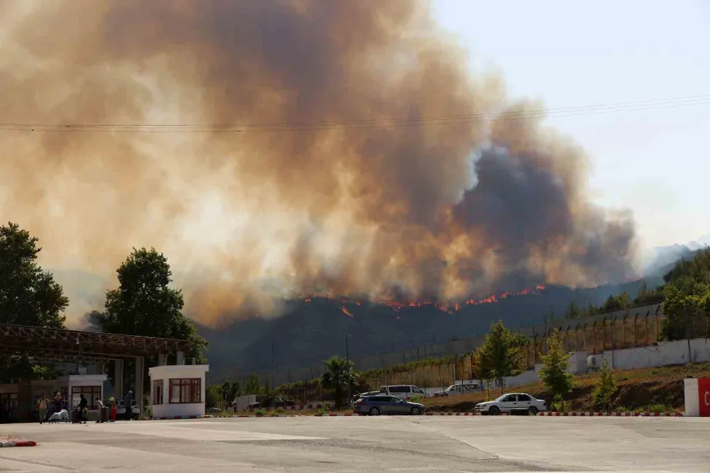 Türkiye - Suriye sınırının sıfır noktasında orman yangını
