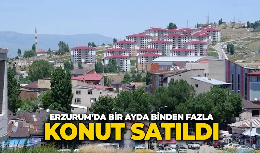 Erzurum’da bir ayda binden fazla konut satıldı