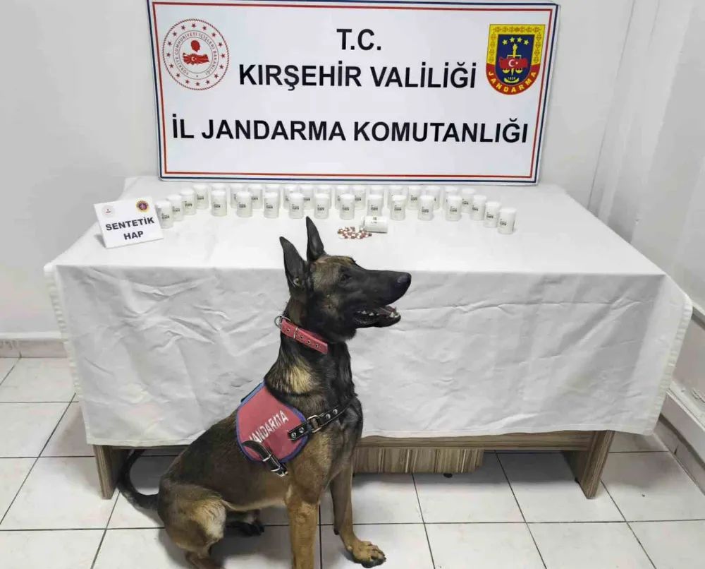 Kırşehir’de bin 823 sentetik hap ele geçirildi: 2 gözaltı