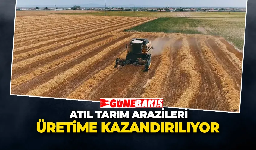 Atıl Tarım Arazileri Üretime Kazandırılıyor: 1 Eylül’de Yeni Dönem Başlıyor