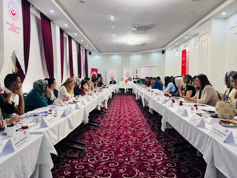 Van’da ‘Kadın Hizmetleri Bölgesel İstişare Toplantısı’ yapıldı