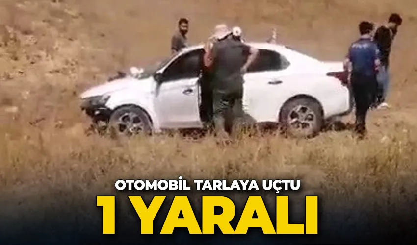 Otomobil tarlaya uçtu, 1 yaralı