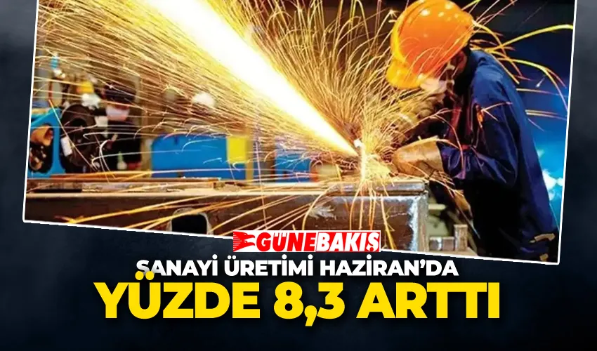 Sanayi Üretimi Haziran’da Yüzde 8,3 Arttı