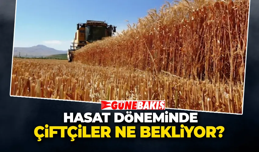 Hasat Döneminde Çiftçiler Ne Bekliyor?