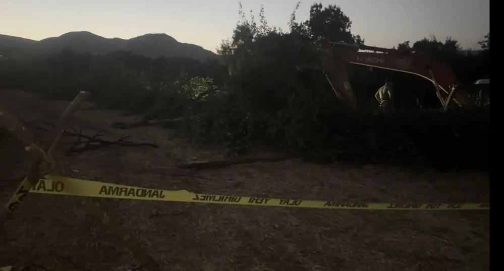 Kanal çalışması sırasında devrilen ağacın altında kalan kişi öldü