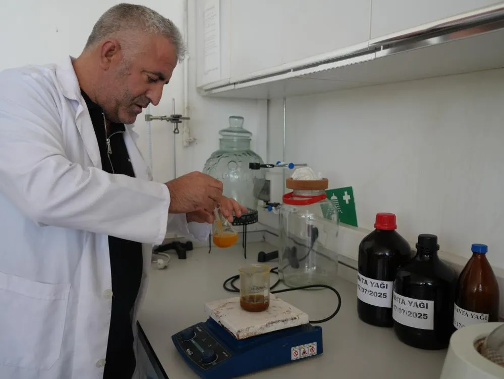 Cilt kanserine neden olan lekelerde bile etkili