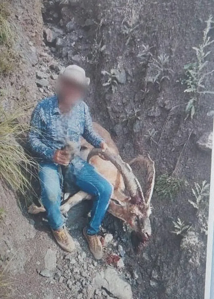 Kars’ta 1 kişi yaban keçisi avladı