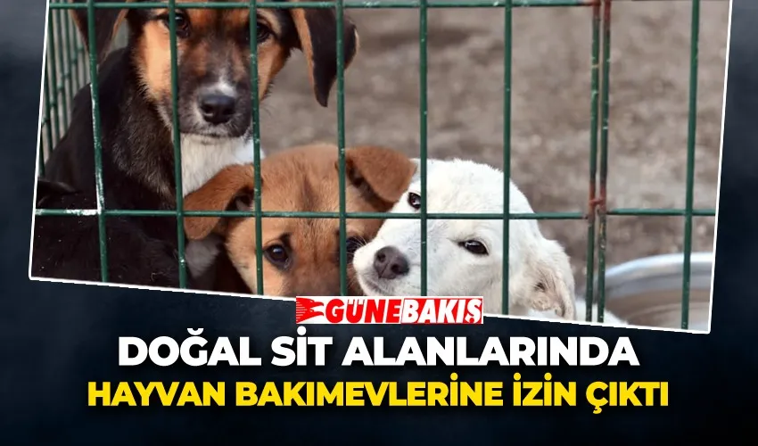 Doğal Sit Alanlarında Hayvan Bakımevlerine İzin Çıktı