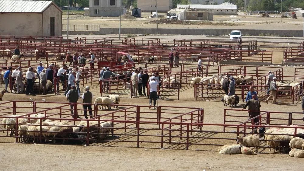 Van Hayvan Pazarı yeniden hizmete başladı
