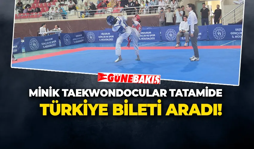 Minik Taekwondocular Tatamide Türkiye Bileti Aradı!