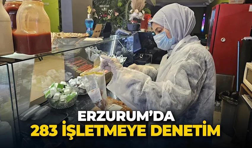 Erzurum’da 283 işletmeye denetim