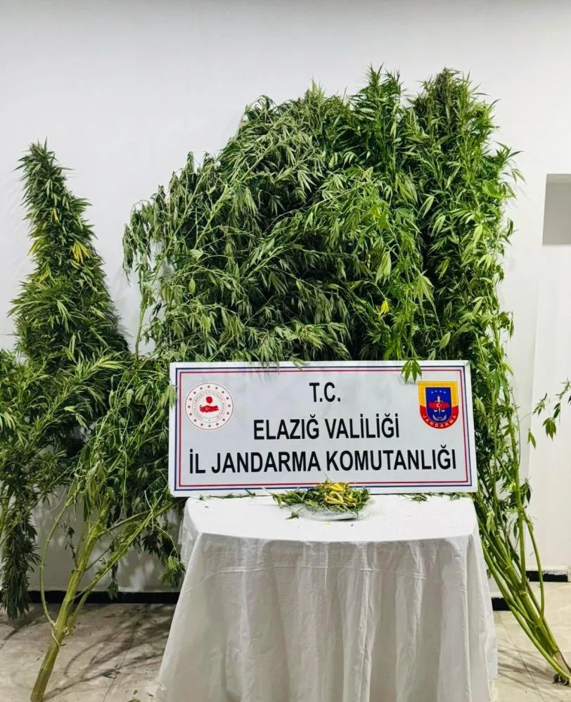 Elazığ’da uyuşturucuyla mücadele