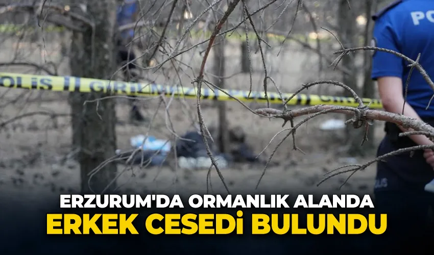 Erzurum’da ormanlık alanda erkek cesedi bulundu