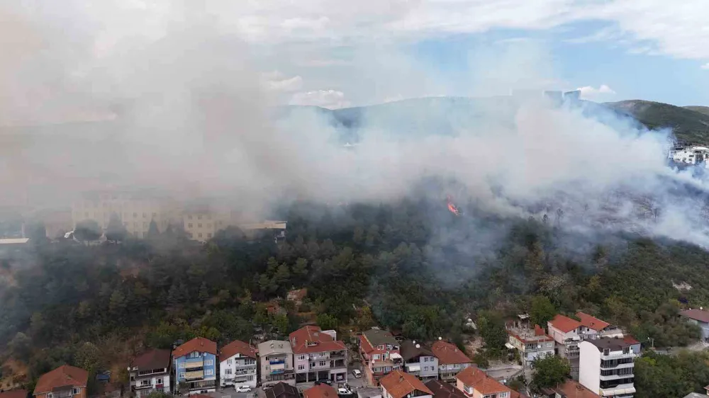 Kocaeli’de ağaçlık alana sıçrayan yangın kontrol altına alındı