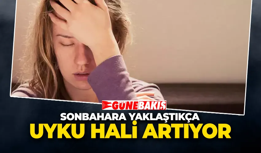 Sonbahara Yaklaştıkça Uyku Hali Artıyor