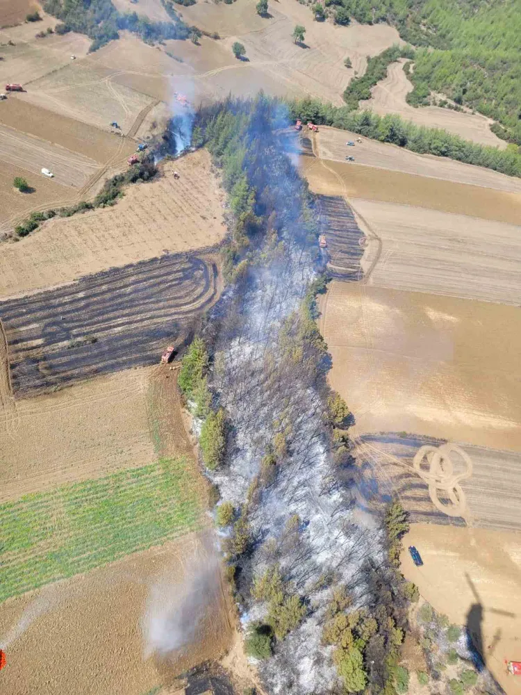 Adana’da çıkan orman yangını kontrol altına alındı