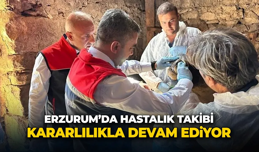 Erzurum’da hastalık takibi kararlılıkla devam ediyor