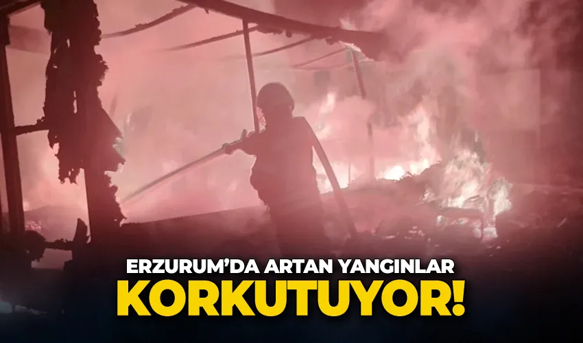 Erzurum’da artan yangınlar korkutuyor