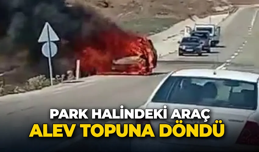 Park halindeki araç alev topuna döndü