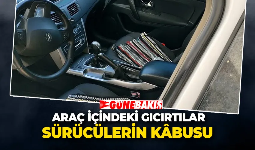 Araç İçindeki Gıcırtılar Sürücülerin Kâbusu: Trim Sesine Karşı Etkili Çözümler