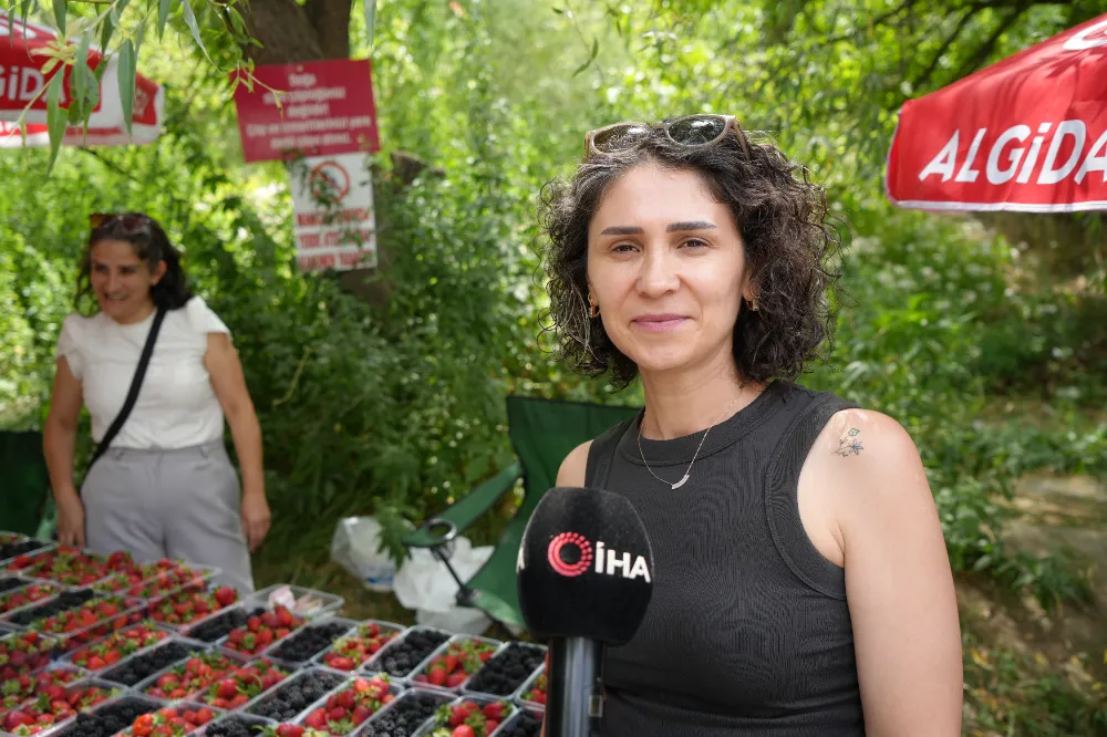 Kavurucu sıcaklarda çilek ve böğürtlen mevsimi