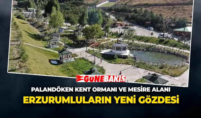 Erzurumluların Yeni Gözdesi: Palandöken Kent Ormanı ve Mesire Alanı