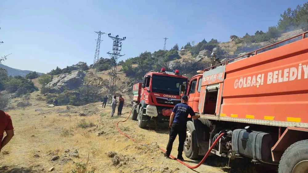 Gölbaşı’nda orman yangını