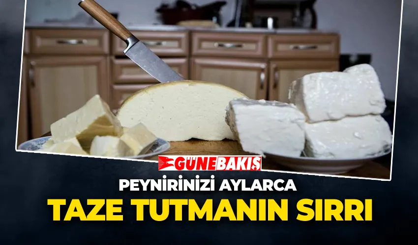 Peynirinizi Aylarca Taze Tutmanın Sırrı