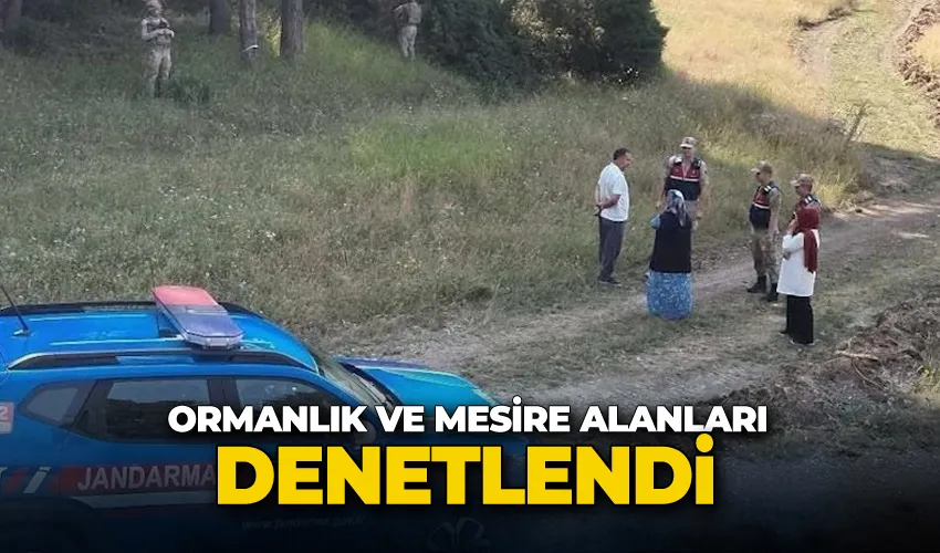 Jandarma ekipleri ormanlık ve mesire alanlarını denetledi