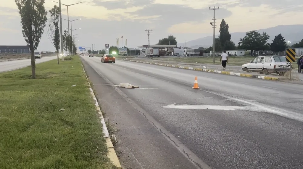 Erzincan-Erzurum kara yolunda duygulandıran görüntü