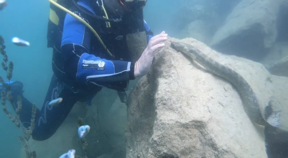 Fırat ve Dicle’nin zenginlikleri gün yüzüne çıkıyor
