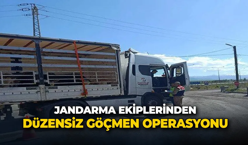 Jandarma ekiplerinden düzensiz göçmen operasyonu