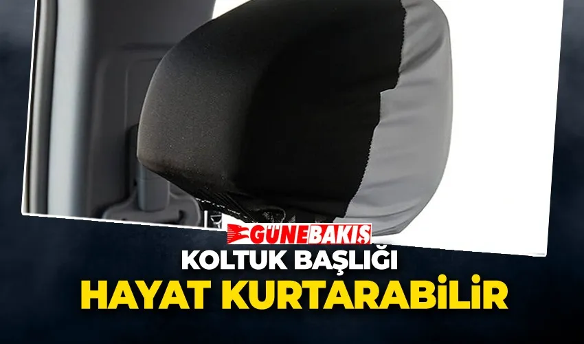 Koltuk Başlığı Hayat Kurtarabilir   Doğru Ayar Kaza Anında Sizi Korur