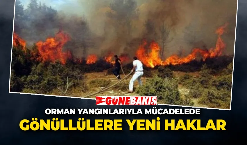 Orman Yangınlarıyla Mücadelede Gönüllülere Yeni Haklar