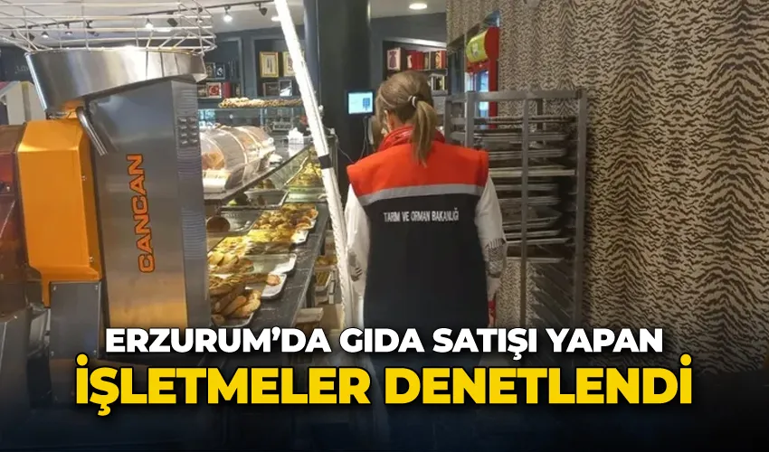 Erzurum’da gıda satışı yapan işletmeler denetlendi